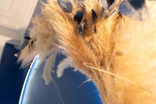 Chambre avec Balnéo, centre ville de Nice - Nizza - 8