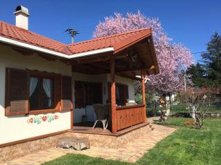 Mezőkövesd - Zsóry SAKURA apartmán - Mezőkövesd - 8