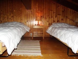 Mayens de l Ours CZ 031 - MOUNTAIN apartment 6 per - Salins - 5