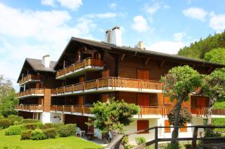 Mayens de l Ours CZ 031 - MOUNTAIN apartment 6 per - Salins - 2