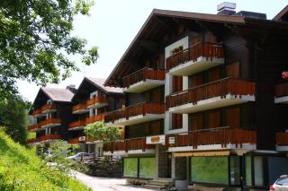 Mayens de l Ours DZ 131 - MOUNTAIN apartment 6 per - Salins - 3