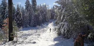 Charming Cabin for Sierra Nevada Getaways - - 4