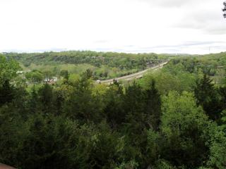Cozy Cabin Rental near Table Rock Lake in the Ozark Mountains, Missouri - Hollister - 9