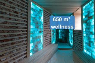 Bástya Konferencia és Wellness Hotel - Miskolctapolca - 9