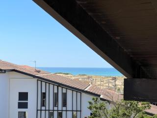 Bel appartement à moins de 100m de la plage - Seignosse - 3