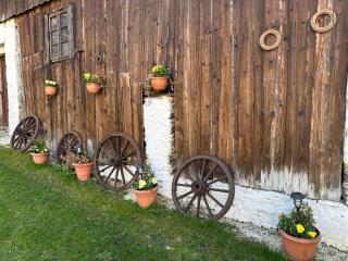 Dom Pod Dębem Agroturystyka - Konradów - 4