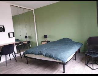 Chambre tropicale 3 - Evry-Courcouronnes - 9