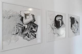 Werkgut - Charmantes Loft - Meezen - 4