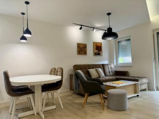 Cvetkovic apartman - Soko Banja - 4