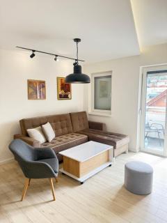 Cvetkovic apartman - Soko Banja - 2