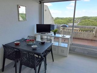 Studio cabine climatisé, piscine, parking, animaux admis, 350m plage - FR-1-250-62 - Le Grau-du-Roi - 0