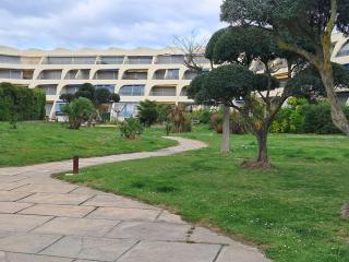Studio cabine climatisé, piscine, parking, animaux admis, 350m plage - FR-1-250-62 - Le Grau-du-Roi - 7