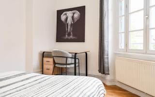 Appartement de 3 chambres, parking gratuit, proche métro - Oullins - 6
