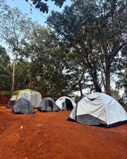 The Tribe Yelagiri Camping - 3