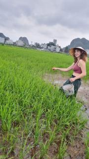 Phi Hung's Unique Homestay - Ninh Binh - 4