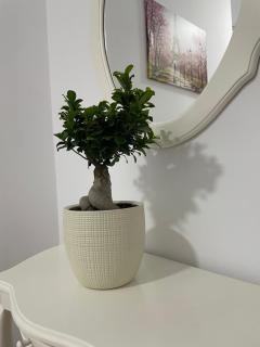 Rooms by Kevin - Tirana - 4