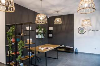 Toronto Cozy Studio near UNSS and NSA w Fast WiFi - Sofia - 1