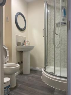 8 braybrook crescent - West Bromwich - 9