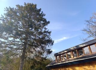Naturhaus Bergen - Bergen - 4