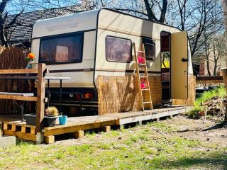 WaldCamp mit kleinen Hütten und Caravans in Cottbus Natur Pur - Cottbus - 9