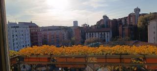 Luxury apartment - Umbria 35 - Milan - 7