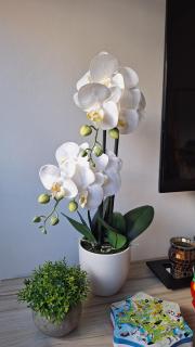 Apartamento 2 en el Centro de Chuy - Inmejorable Localización - 3