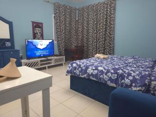Stylish Beachfront Studio Sea View, Ajman - Ajman - 1