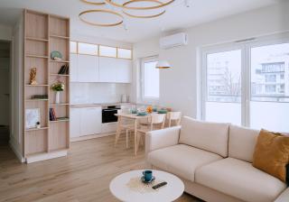 Art Apartaments III - Breslavia - 9