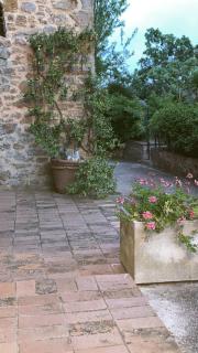 GiuMa Tuscany Historic Country House with Patio near Saturnia Spa - Montemerano - 4