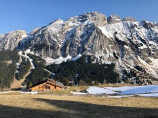 Grand Chalet - Coeur de la montagne - 0