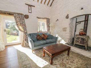 Old Ty'n Y Wern - Bala - 5
