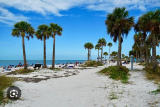 Abbys Place - Tarpon Springs - 2
