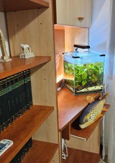 YB Apartments - Bucharest - 4