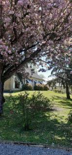 La belle échappée - Saint-Clément-des-Levées - 9