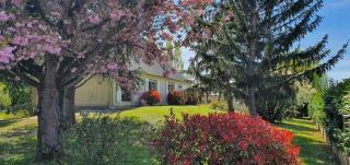 La belle échappée - Saint-Clément-des-Levées - 5