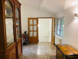 Les Cèdres - Valleraugue - 7