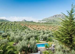 Agroturismo Ecologico el Cortijillo - Luque - 4