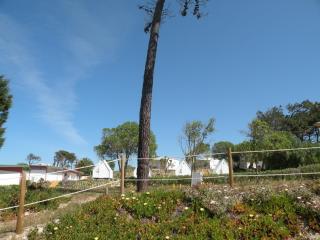 Parque de Campismo da Praia de Pedrogao - Coimbrão - 1
