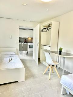 Near Basel - Eurovision Home CH - Lörrach - 9