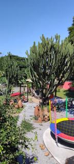 Refugio Namastê - Sheila - 5