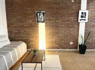 Beautiful Loft in the heart of Mendoza - Mendoza - 0