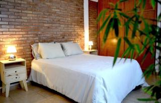 Beautiful Loft in the heart of Mendoza - Mendoza - 5