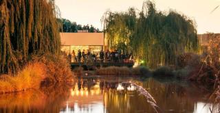 Beautiful Loft in the heart of Mendoza - Mendoza - 3