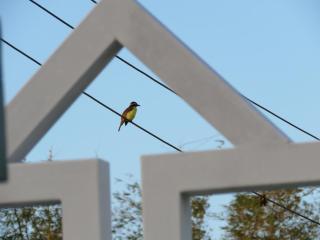 Emporis Resort - Dabadie - 1