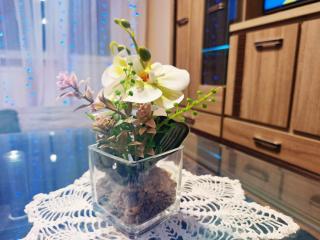 Taurage 2 room apartment - 7