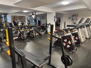 Goldpark -Cherry - 1