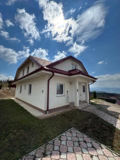 Forest House - Ilijaš - 7