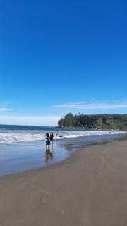 Cabaña Los Frutales Laraquete - 4