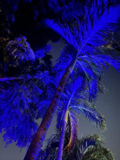 La belle creole - Sainte-Anne - 1