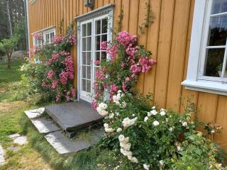 Large house with sea arch, beach and jetty - Lillesand - 9